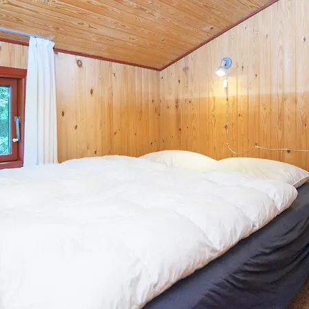 6 Person In Struer-by Traum Struer