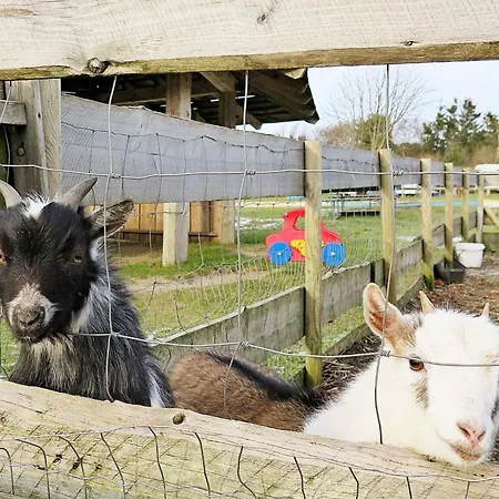 6 Person In Struer-by Traum *