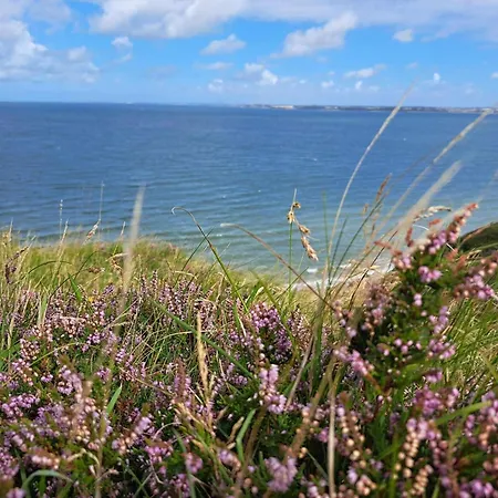 6 Person In Struer-by Traum